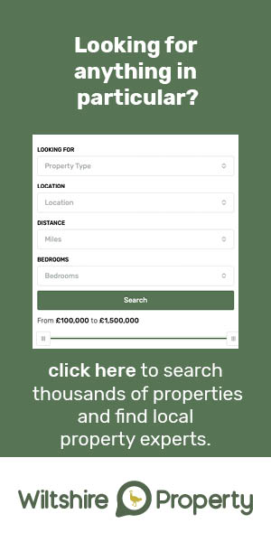 - Advertisement -